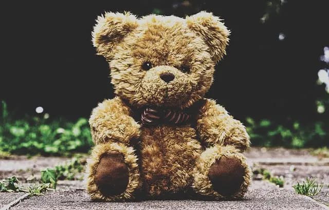 Guide d'achat des langues amérindiennes pour enfants